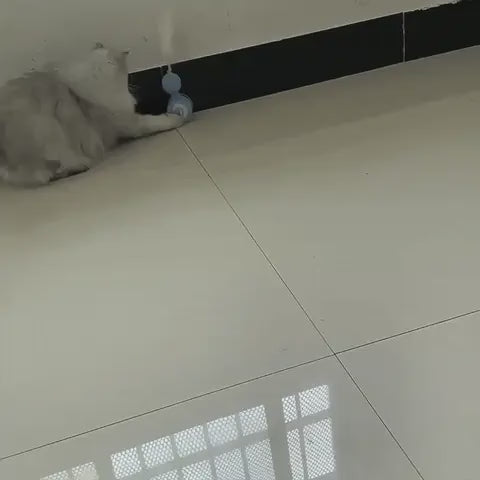 Vidéo de démonstration du jouet interactif pour chat Culbuto Plume et Balle (modèles ours rose, ours bleu, poussin jaune) en action