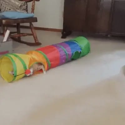 Vidéo illustrant Tunnel pliable ultra résistant pour chat – polyester et acier