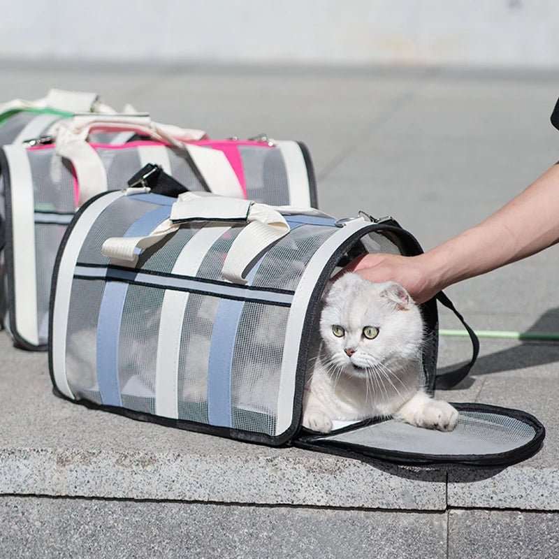 Sac Transport Chat Pliable et Léger : Confort et Sécurité pour Votre Félin - Pattes d'or