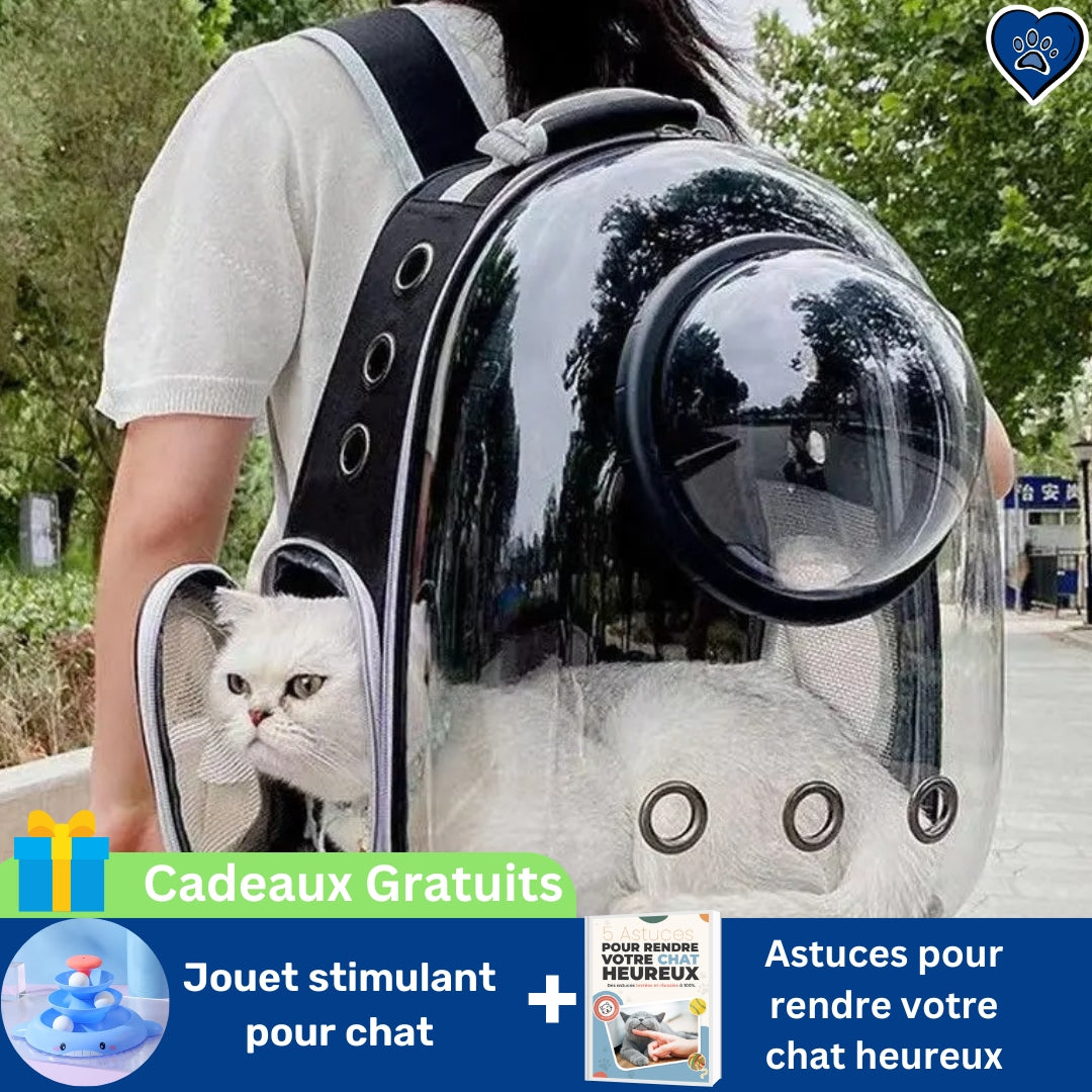 Chat sortant sa tête du sac à dos pour chat et se sent en sécurité