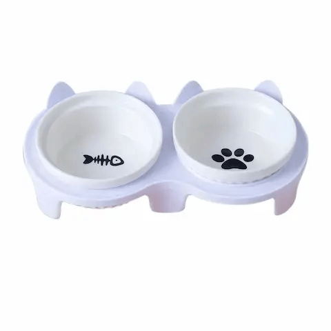 Chat utilisant gamelle ergonomique 15° couleur bleu ciel