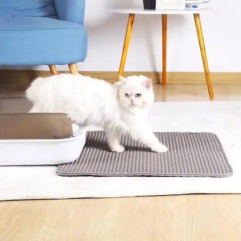Chat blanc dans un salon avec un tapis anti-litière double couche noir devant son bac
