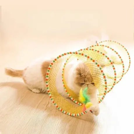 Tunnel Chat Pliable : Son Nouveau Terrain de Jeu 🐾 - Pattes d'Or